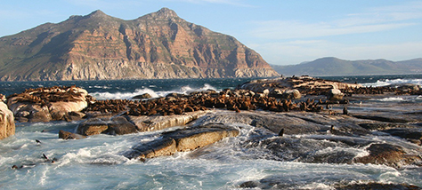 全球人力合规服务